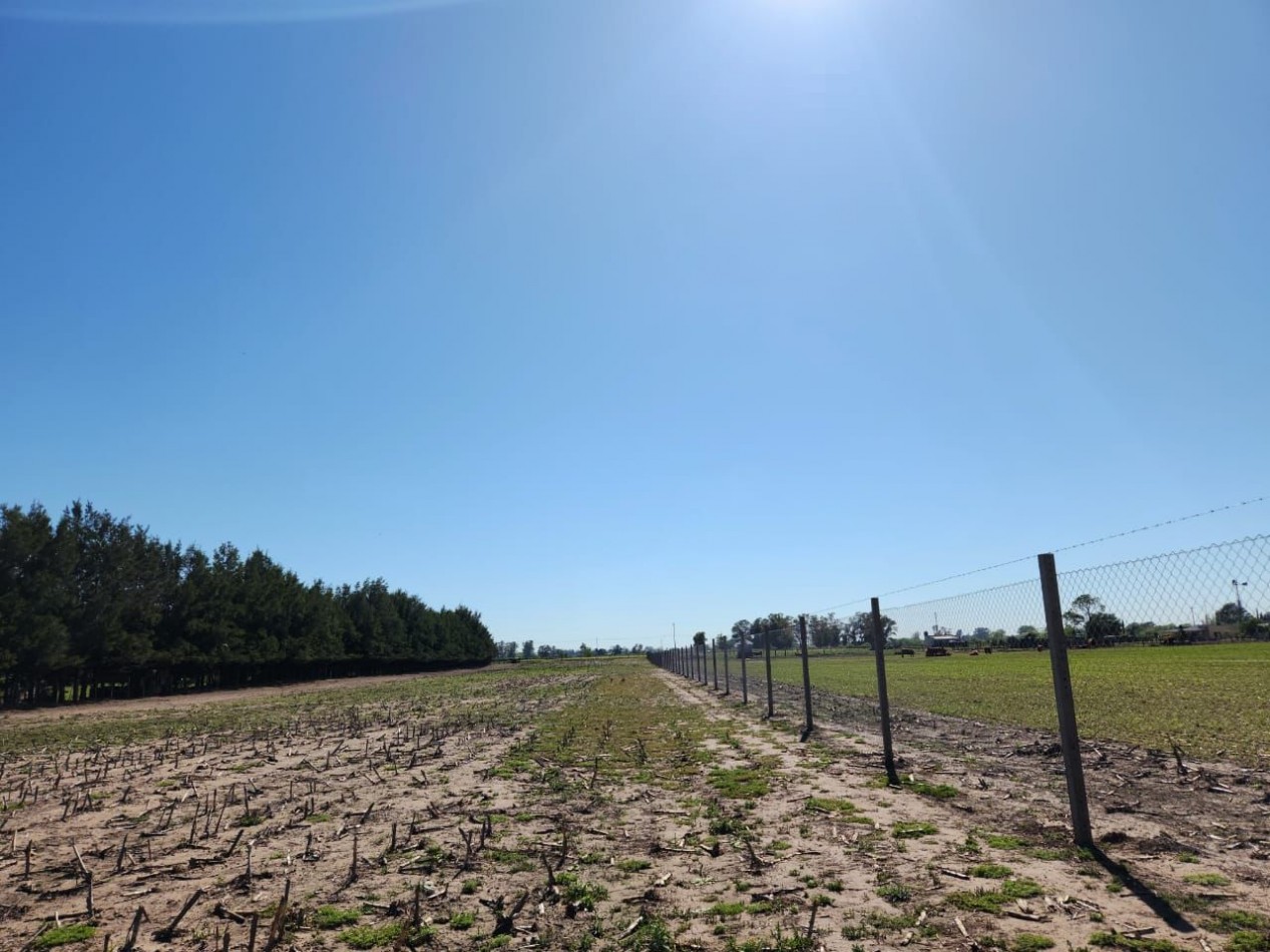 VENTA 3 HECTAREAS Y UN CUARTO CON ALAMBRADO OLIMPICO AL FRENTE, TRANQUERA DOBLE HOJA Y ALAMBRADO EN UN LATERAL, RUTA 65 -9 DE JULIO-