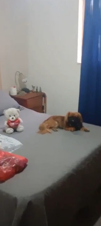 VENTA DEPARTAMENTO 2 DORMITORIOS ESCUCHA OFERTAS , URUGUAYANA 550 -EZEIZA-